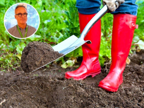Come trattare l’orto e il giardino nella stagione pre-estiva