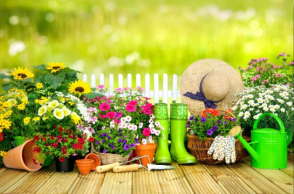 Scarica la Guida di Aprile 2022 per il giardinaggio