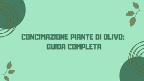 Concimazione primaverile delle piante di olivo: Una Guida Completa